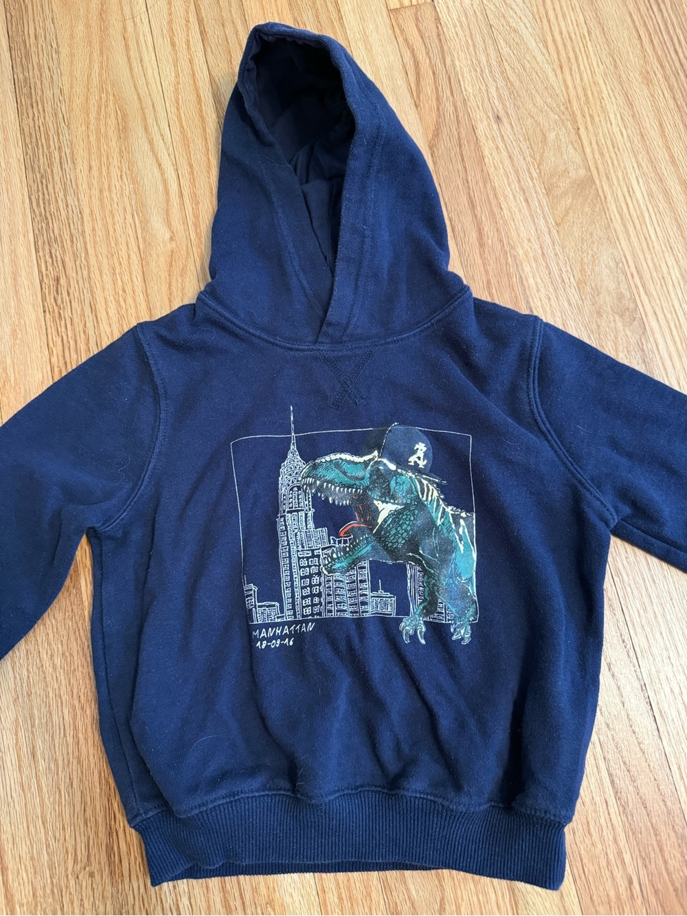 Zara Navy Kids Dinosaur Graphic Hoodie